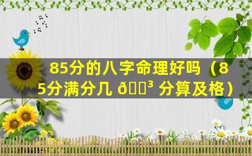 85分的八字命理好吗（85分满分几 🐳 分算及格）